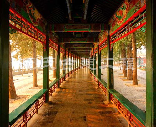 古建主體施工 苑氏古建工程專業公司 古建主體施工團隊